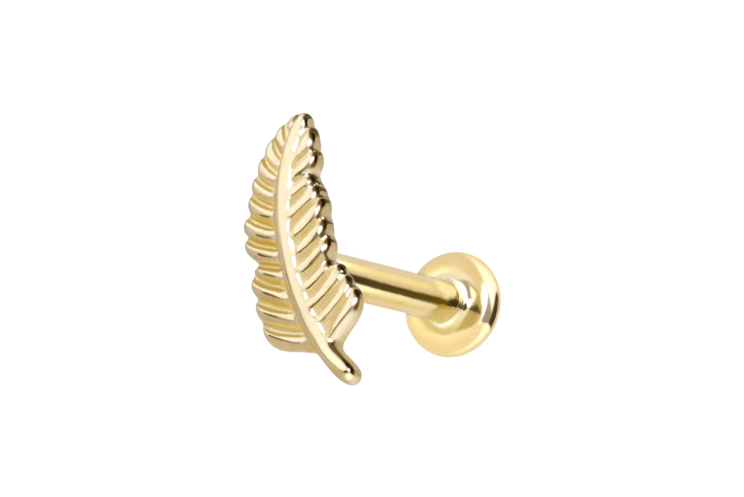 14 Karat Gold Labret Piercing mit Push Fit FEDER